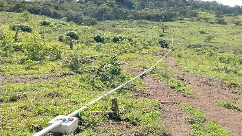 Agua potable desabasto obras Chiapas saneamiento de aguas negras